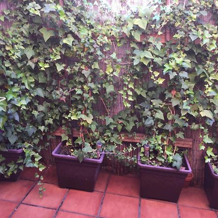 Bonito Piso Centro De Los Boliches Fuengirola Zewnętrze zdjęcie