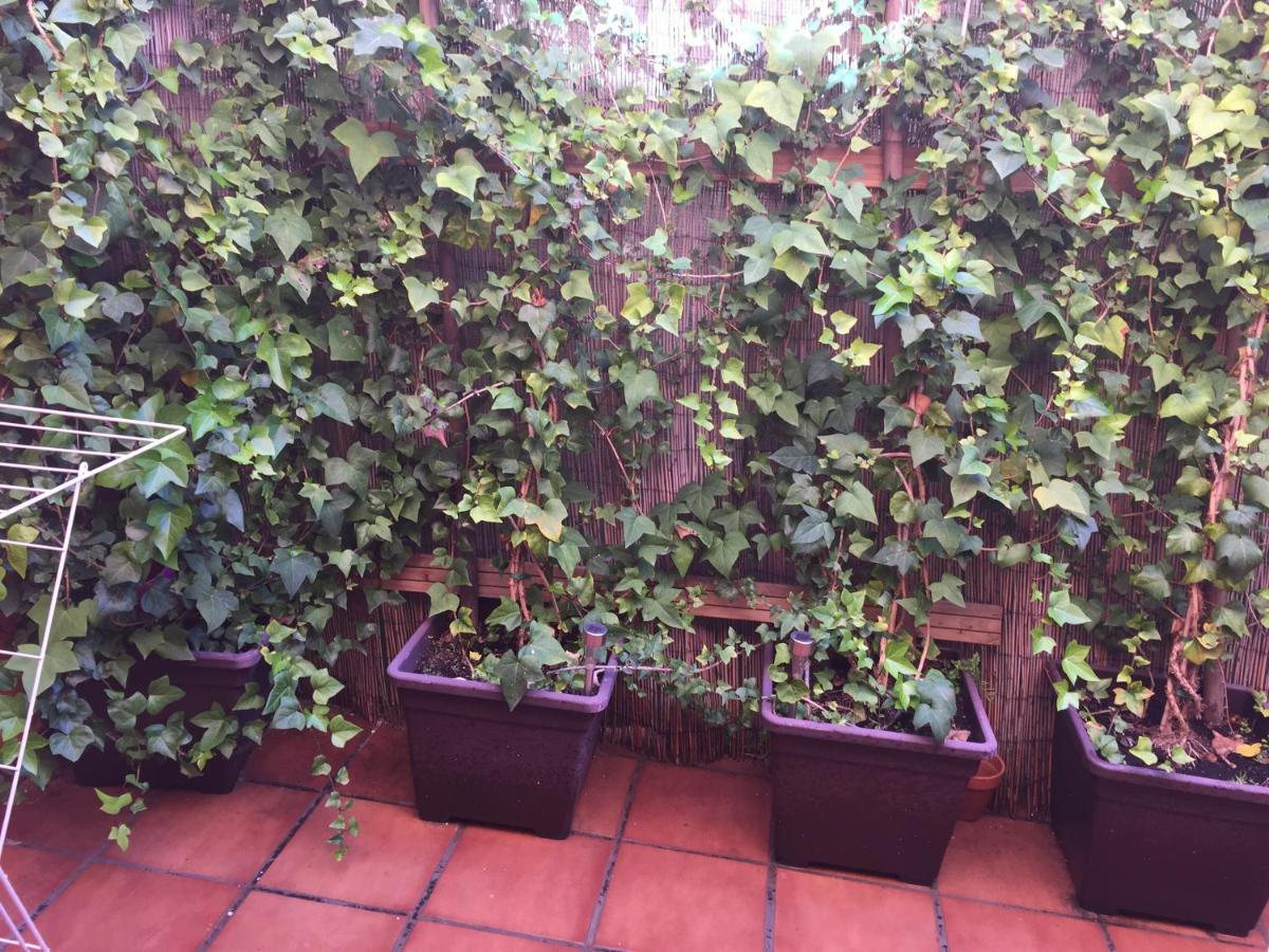 Bonito Piso Centro De Los Boliches Fuengirola Zewnętrze zdjęcie
